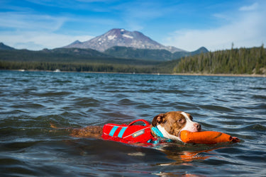 Ruffwear Float Coat Dog Life Jacket - BLUE Large